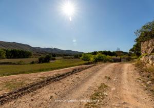 a dirt road with the sun in the sky at Masia Aubareda in San Martín de Tous