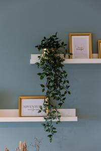 Imagine din galeria proprietății Huswell - Modern studio with seaview and parking în Blankenberge +19 fotografii