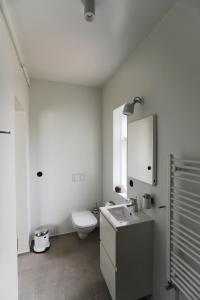 La salle de bains blanche est pourvue de toilettes et d'un lavabo. dans l'établissement Hótel Karólína, à Stykkishólmur