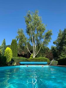 a swimming pool with a tree in the background at Luxury Resort Riverfront with Pool&Sports in Višegrad