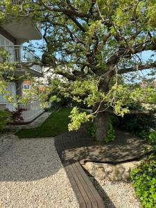 a tree in a garden with a brick walkway at Apartmani Marija Klimno A in Klimno