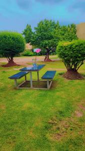 a picnic table in a field with two trees at DreamWest Living The Guesthouse in Krugersdorp
