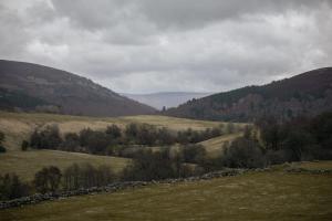 een groen veld met bomen en bergen op de achtergrond bij Inverenzie - Luxury farmhouse with mountain views 