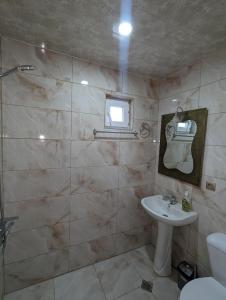 łazienka z umywalką i toaletą w obiekcie Sofia w mieście Wardzia