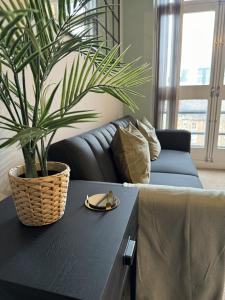 a living room with a blue couch and a potted plant at City Centre - 2BR Apt - Free Parking - Long Stays in Nottingham