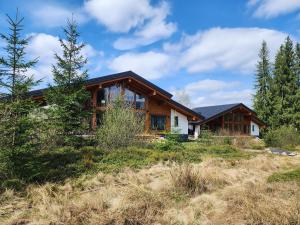 a house on a hill with trees at MOKHY Chalet & Nature in Vorokhta