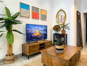 TV a/nebo společenská místnost v ubytování Estiloso apartamento en el centro de Alicante