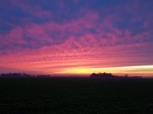 una puesta de sol en un campo con un rosa en Bed & Breakfast Rheiderland, en Ditzumerverlaat