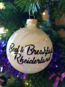 a christmas ornament hanging on a christmas tree at Bed & Breakfast Rheiderland in Ditzumerverlaat