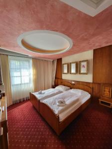 1 dormitorio con 1 cama grande y techo abovedado en Workers Castle Apartments für die besten Monteure en Sankt Michael in Obersteiermark