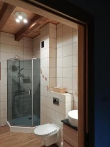a bathroom with a shower and a toilet and a sink at Chata gościom rada in Ustrzyki Dolne