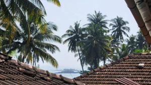vista sulle palme dai tetti delle case di Anand Nivas a Malwan