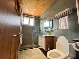 a bathroom with a toilet and a shower at Hualien Wazuka Homestay in Hualien City