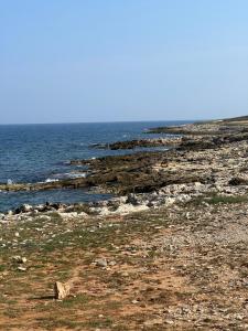 Paesaggio naturale nelle vicinanze dell'appartamento