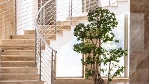 a staircase with a tree in front of a building at Hotel Donna Crescenza in Locorotondo +30 photos
