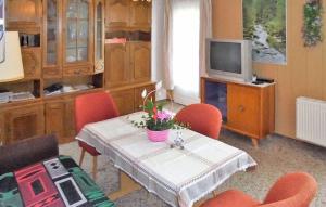 Amazing Apartment In Neuhermsdorf With Wifi في Neuhermsdorf: غرفة معيشة مع طاولة وتلفزيون