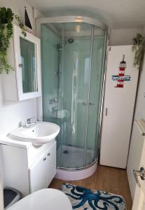 a bathroom with a shower and a sink at De Fjoertoer in Tzummarum