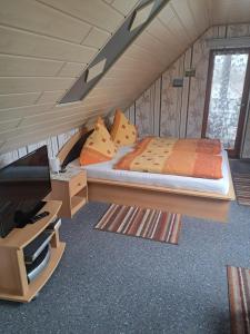 1 dormitorio con 1 cama y TV en una habitación en Pension Andrea, en Herbstein