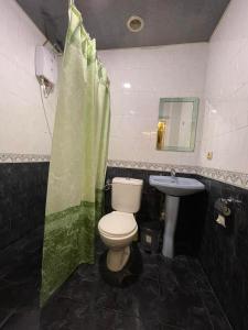 a bathroom with a toilet and a sink at CITRUS Guest House in Yerevan