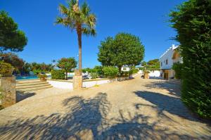 a palm tree in the middle of a road at Oasi Residence in Marina San Gregorio