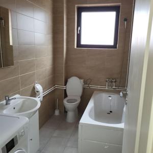 baño con lavabo y aseo y ventana en Prieteniei Nr. 11, en Rovinari