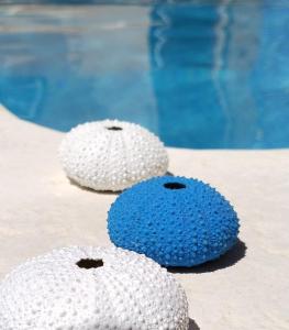 The swimming pool at or close to Villa Amistad