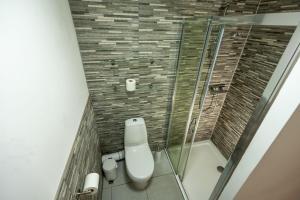 a bathroom with a toilet and a shower at Bowmore Apartment in Oban +3 photos