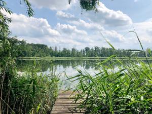 a wooden path leading to a lake with trees and clouds at Landhaus mit Garten & Kamin, für Familien & Freunde in Häven