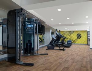 een fitnessruimte met loopbanden en machines in een kamer bij Hampton By Hilton Istanbul Sirkeci in Istanbul