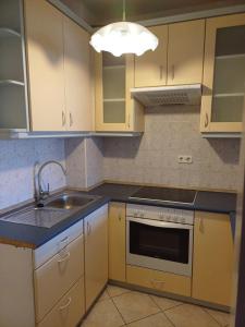 a kitchen with a sink and a stove at Elisabeth7 Apartment in Budapest