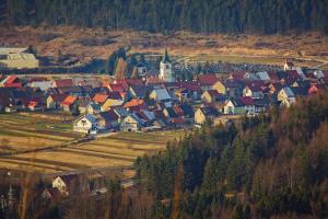 Příroda nedaleko apartmánu