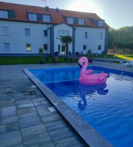 un cisne rosa flotante en una piscina en Gwiazda Morza, en Sianożęty