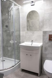 een badkamer met een douche, een wastafel en een toilet bij Gwiazda Morza in Sianozety