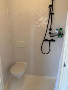 un piccolo bagno con wc e doccia di B&B Hoogeveen Centraal a Hoogeveen