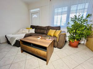 ein Wohnzimmer mit einer Couch und einem Couchtisch in der Unterkunft Villa Elia in Karianí + 22 Fotos