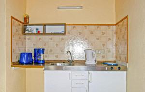 Η κουζίνα ή μικρή κουζίνα στο Ferienwohnung Neuhausen