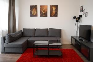 sala de estar con sofá y alfombra roja en Möblierte 3-Zimmer-Wohnung nahe Düsseldorf in Duisburg-Süd, en Duisburg