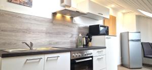 Kuchyň nebo kuchyňský kout v ubytování Apartment Sson