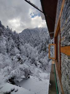 吉布The Forest Pinnacle and Café, Jibhi的相册照片