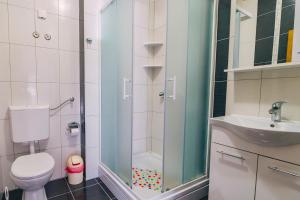 a bathroom with a shower and a toilet and a sink at Luxur Centar with sea view terrace in Baška Voda