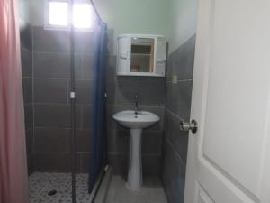 a small bathroom with a sink and a shower at Casa Exploradores in Volcán