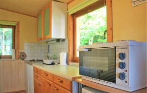 a kitchen with a microwave oven on a counter at Ferienhaus Rechenberg in Rechenberg-Bienenmühle