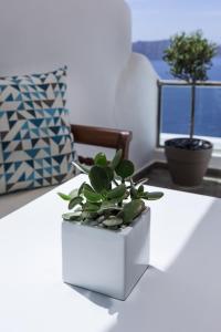 a white planter with a potted plant on a table at Nevma Suites in Firostefani