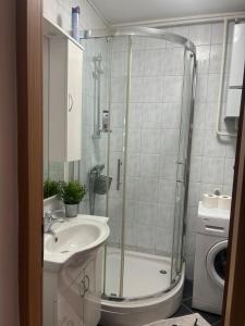 a bathroom with a shower and a sink at Apartments Manila in Zagreb