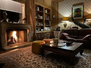 a living room with a fireplace and a couch at Château des Ablens in Leuze-en-Hainaut