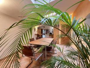 einen Tisch und Stühle sowie eine Pflanze in einem Zimmer in der Unterkunft La douceur - 8p - Maison Familiale avec Jardin in Blagnac