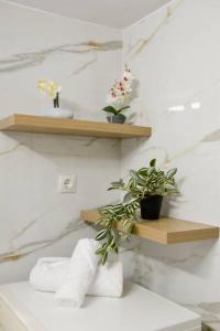 een badkamer met twee planken en een plant op een muur bij Dream apartment in Kallithea in Athene