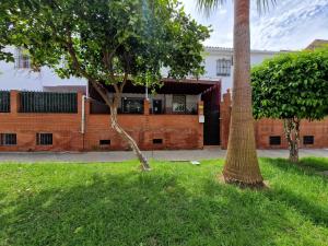 un edificio con una palmera en un patio en DICHA 24, en Sevilla