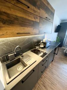 uma cozinha com um lavatório e uma bancada em Stylowy Apartament w Serocku em Serock