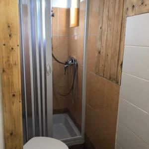 a bathroom with a shower with a toilet in it at Amur Vendégház in Gárdony